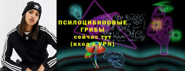 соль ск Алексин