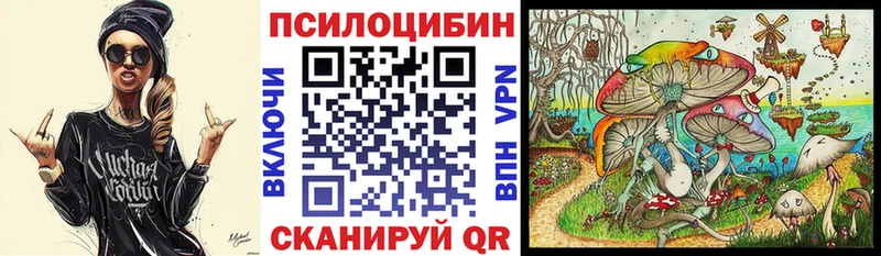 магазин продажи наркотиков  Раменское  Псилоцибиновые грибы Cubensis 