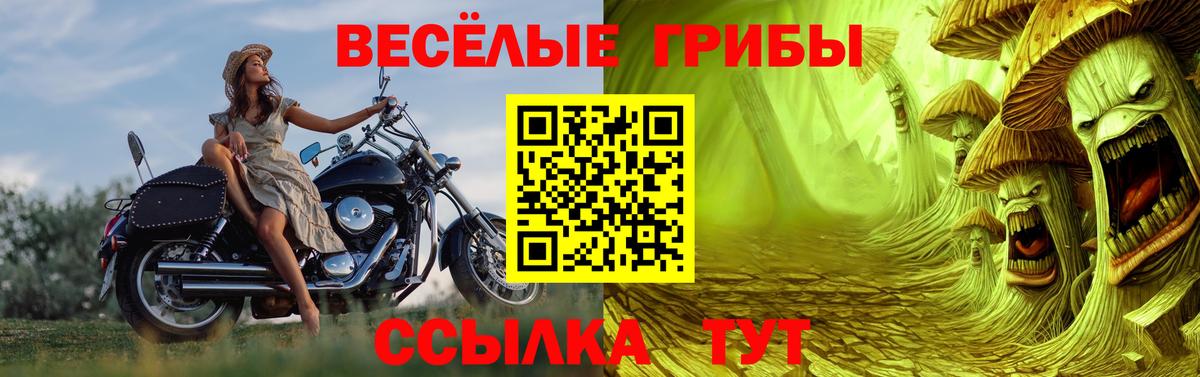 Раменское  Псилоцибиновые грибы GOLDEN TEACHER  Галлюциногенные грибы мухоморы  Вход с VPN 
