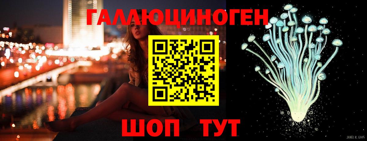Галлюциногенные грибы Psilocybe Раменское